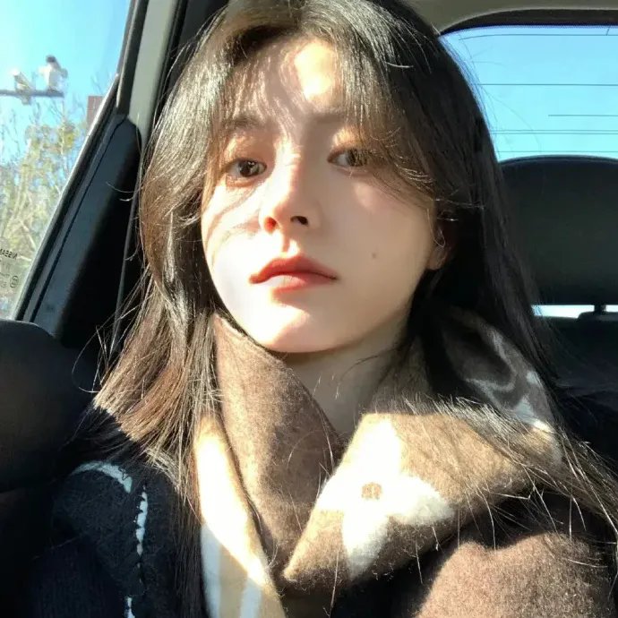 熊出没之探险日记